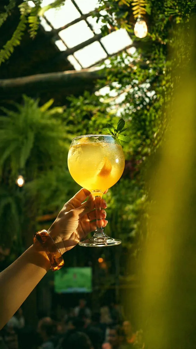 溫室酒吧裏的金色雞尾酒